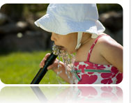 Summer Fun with Allora